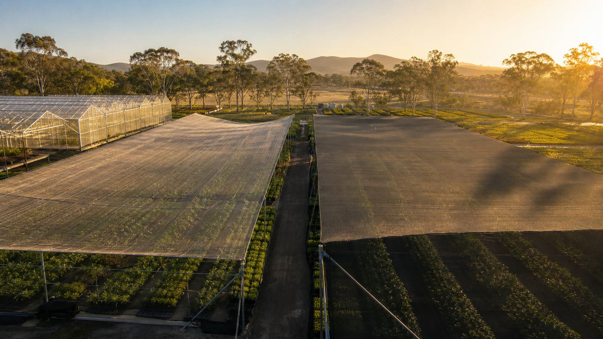Australian nursery shade cloth density comparison for commercial crop protection