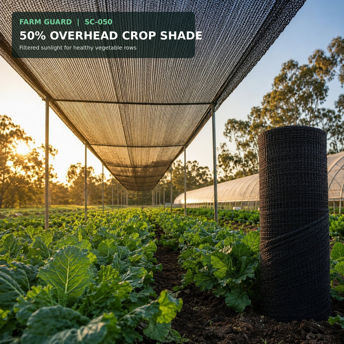 50% knitted HDPE shade net installed above nursery seedlings