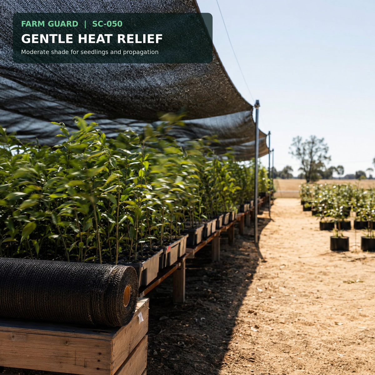 50% knitted shade net installed over field-grown vegetable rows