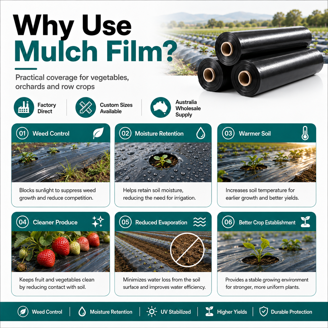 Factory supply and export packing for black agricultural mulch film wholesale orders