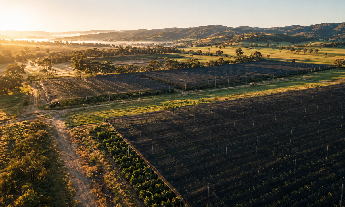 Aerial view of large Australian crop areas protected by black agricultural shade netting