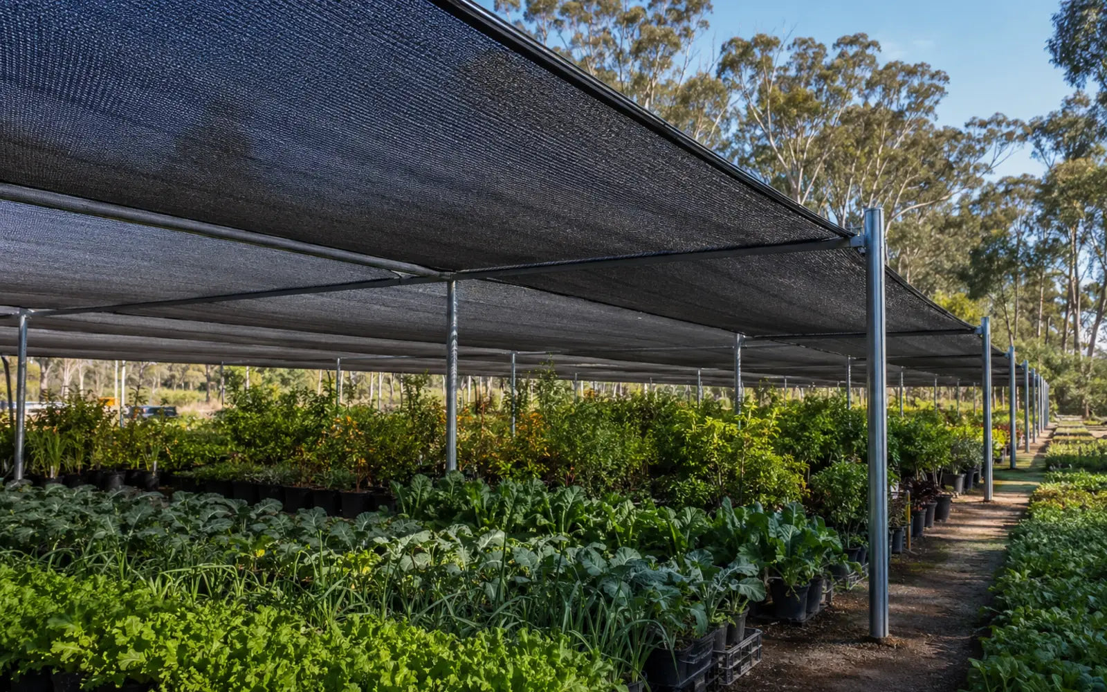 Black agricultural shade net installed over a commercial growing environment
