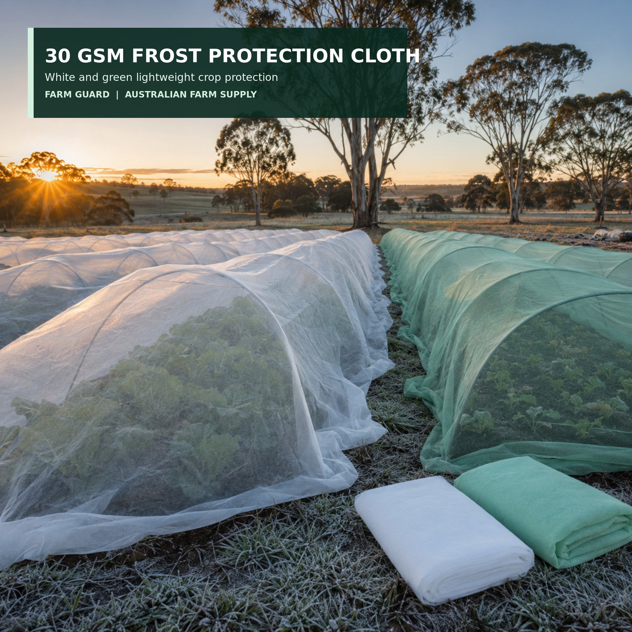 FC-030 white and green 30 GSM frost protection cloth over winter crops