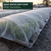 White 30 GSM frost cloth protecting vegetable rows
