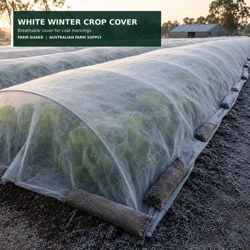 White 30 GSM frost cloth protecting vegetable rows