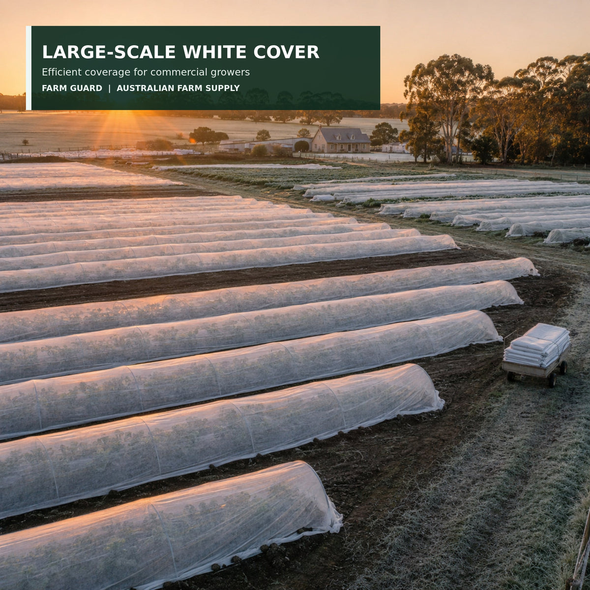 White frost cloth protecting nursery and seedling beds