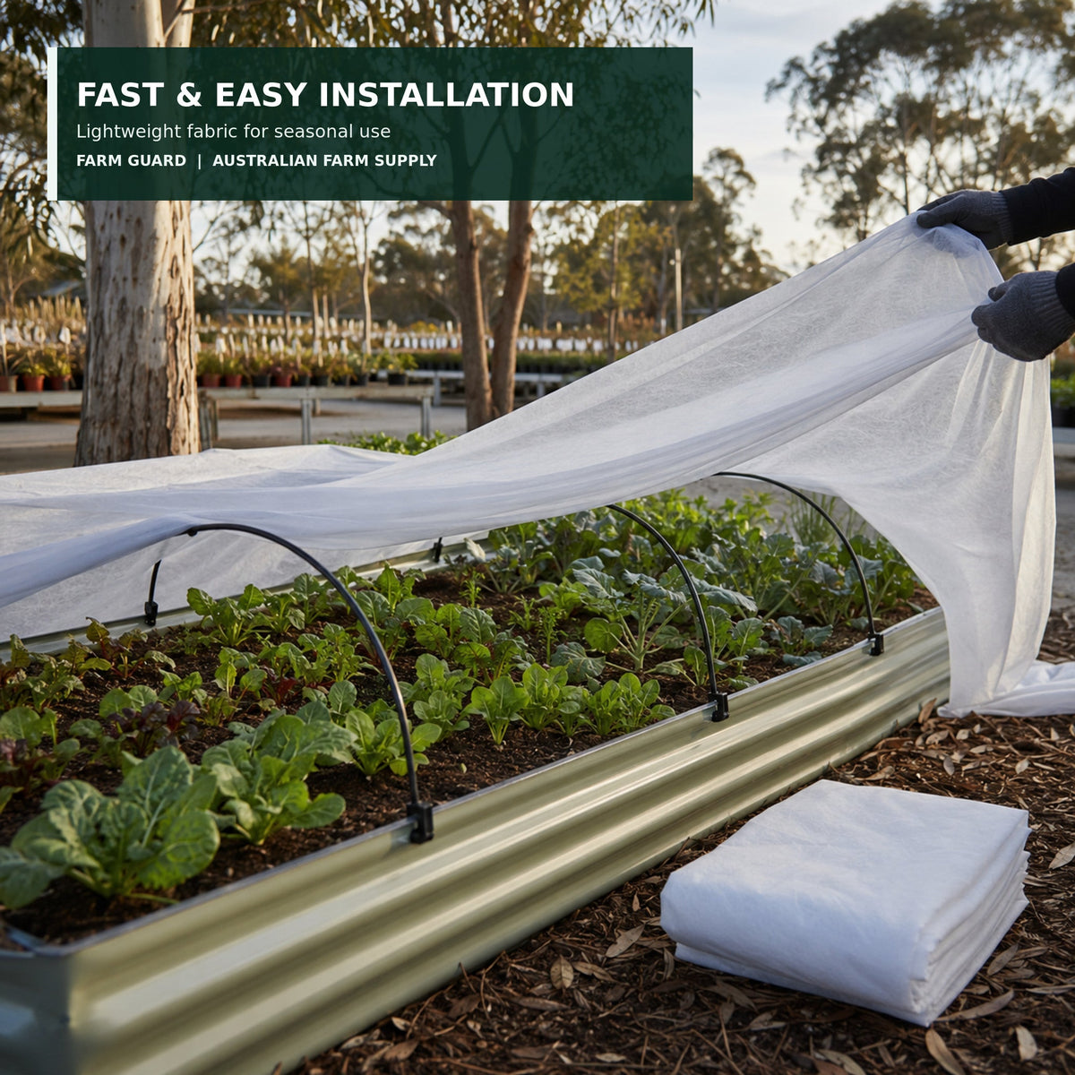 Installing lightweight white frost protection cloth over low hoops