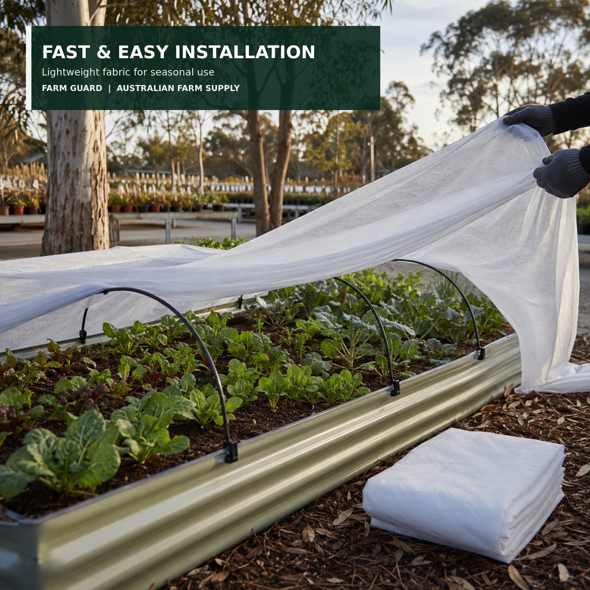 Installing lightweight white frost protection cloth over low hoops