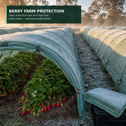 Custom green 30 GSM frost protection cloth over strawberry rows – quotation option