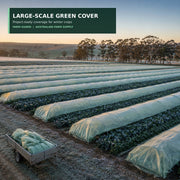 Custom green 30 GSM frost cloth for large-scale farm coverage – quotation option