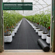 100 GSM greenhouse weed control