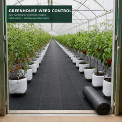 100 GSM greenhouse weed control