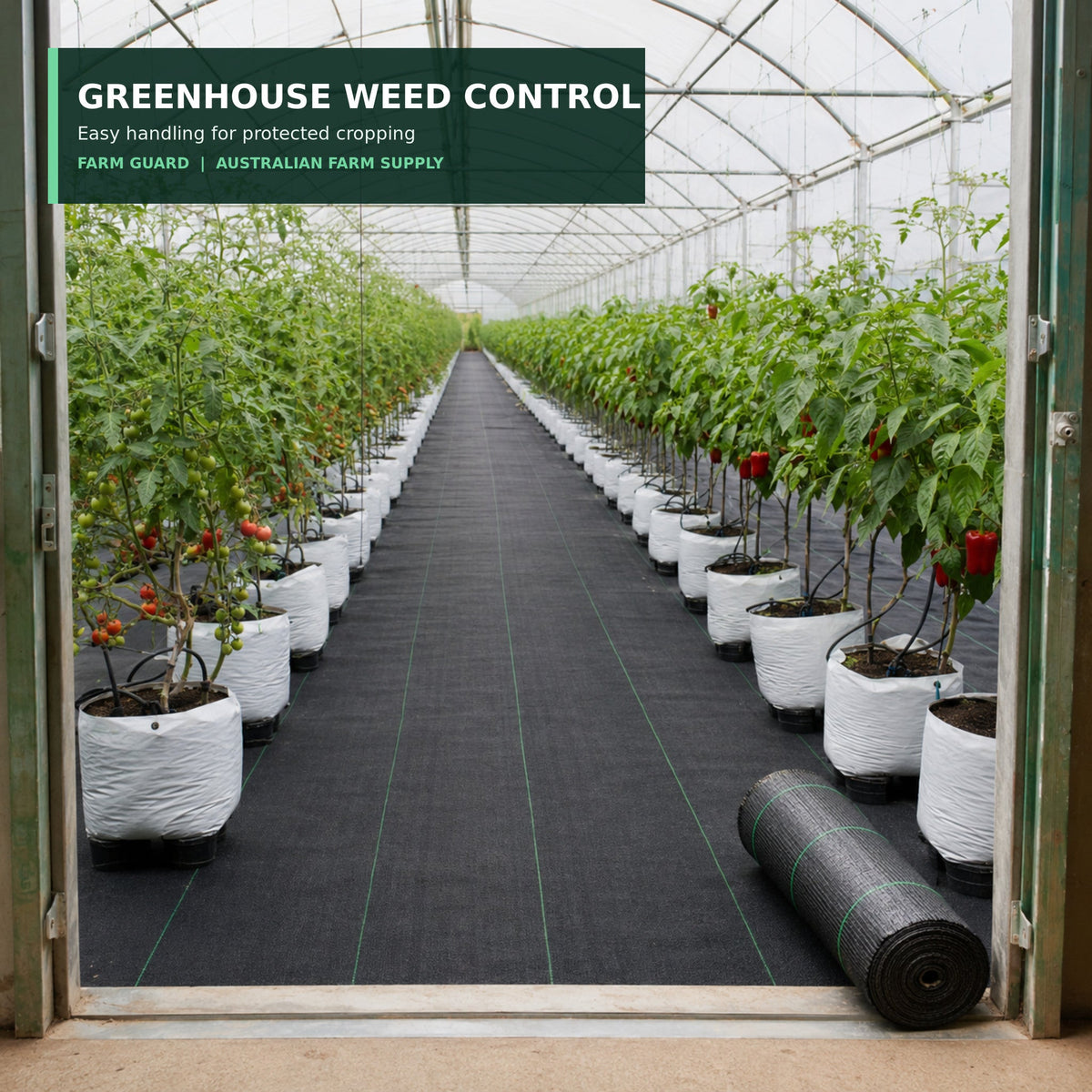 100 GSM greenhouse weed control