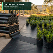 100 GSM wholesale roll supply
