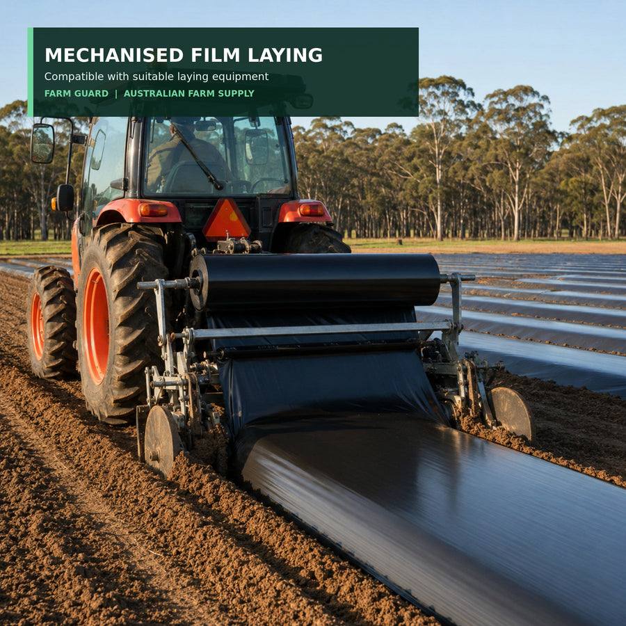 Black PE agricultural mulch film being laid over crop rows