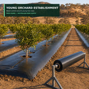 Black PE mulch film supporting young orchard establishment
