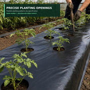 Black mulch film with precise crop planting openings