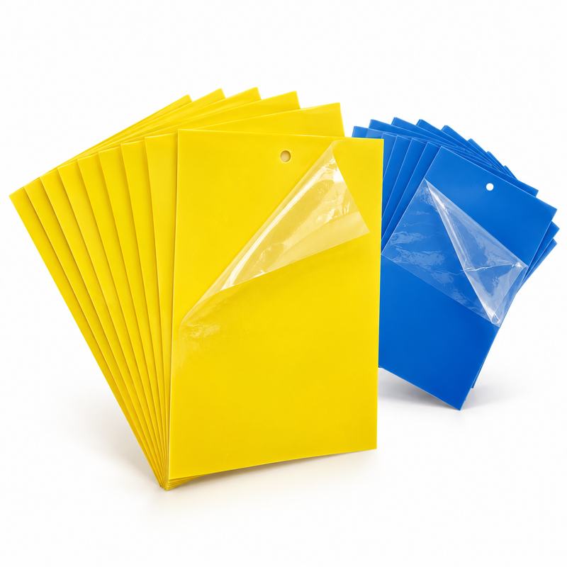Yellow and blue double-sided sticky insect trap boards on a clean white background.