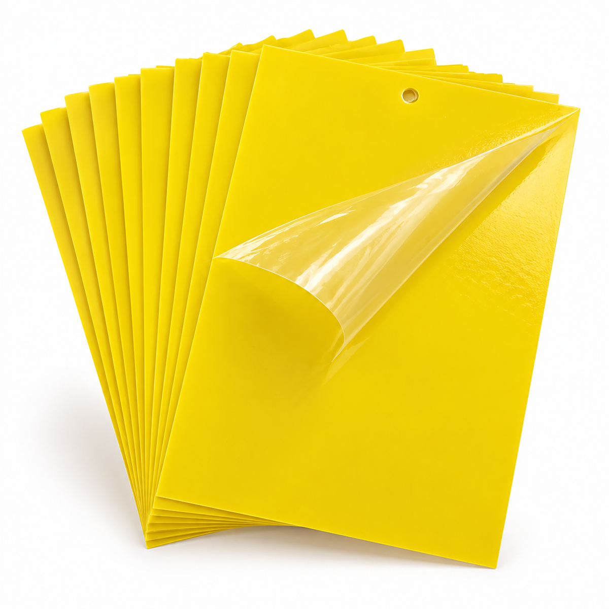 Yellow double-sided sticky insect trap boards with peel-off protective film on a clean white background.