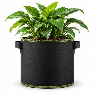 Fabric Grow Bags – Black & Green-Edge Options (5-Pack)