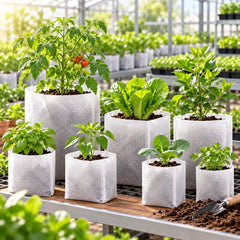 Generated greenhouse scene with white nursery bags. Plants, tools and growing medium are not included.