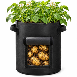 Illustrative black potato grow bag with front harvest flap on a white background. One pack contains five matching empty bags; plants, potatoes and soil are not included.