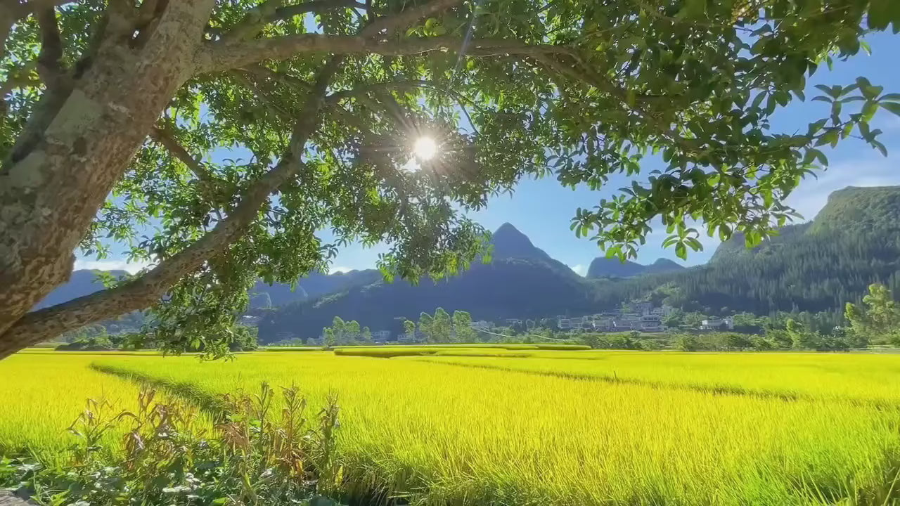 Agricultural landscape film supplied for FARM GUARD — open fields, trees and mountains.