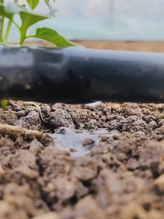 16 mm Drip Irrigation Tape – 1000, 1500 & 2000 m Rolls