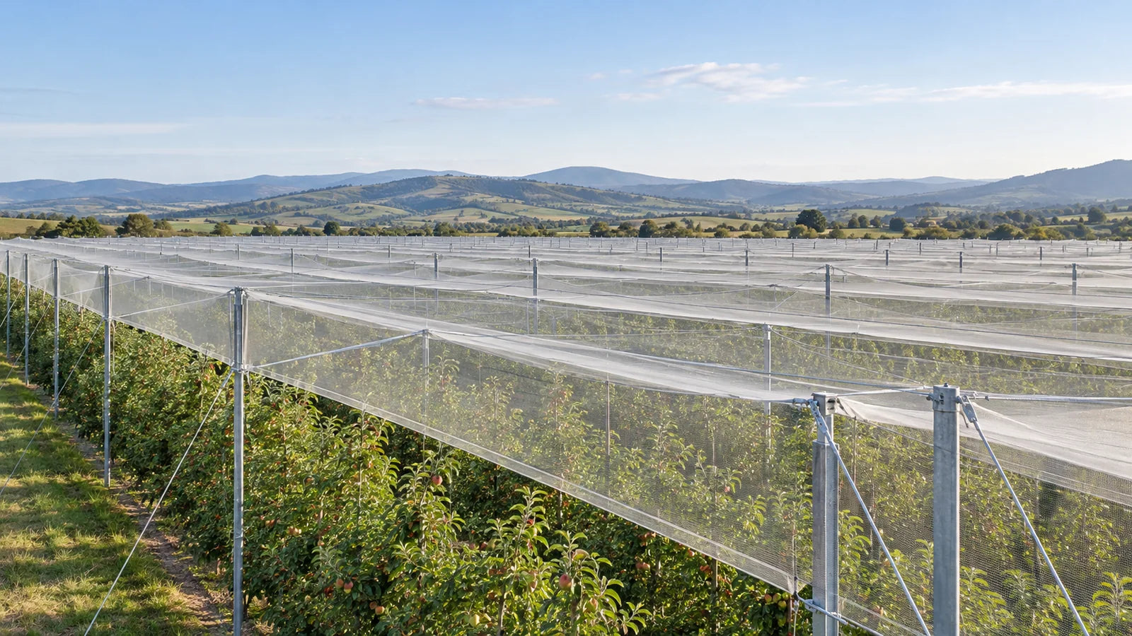Orchard protection
