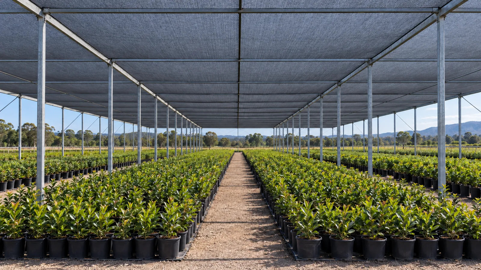 SHADE MANAGEMENT — Shade net installed