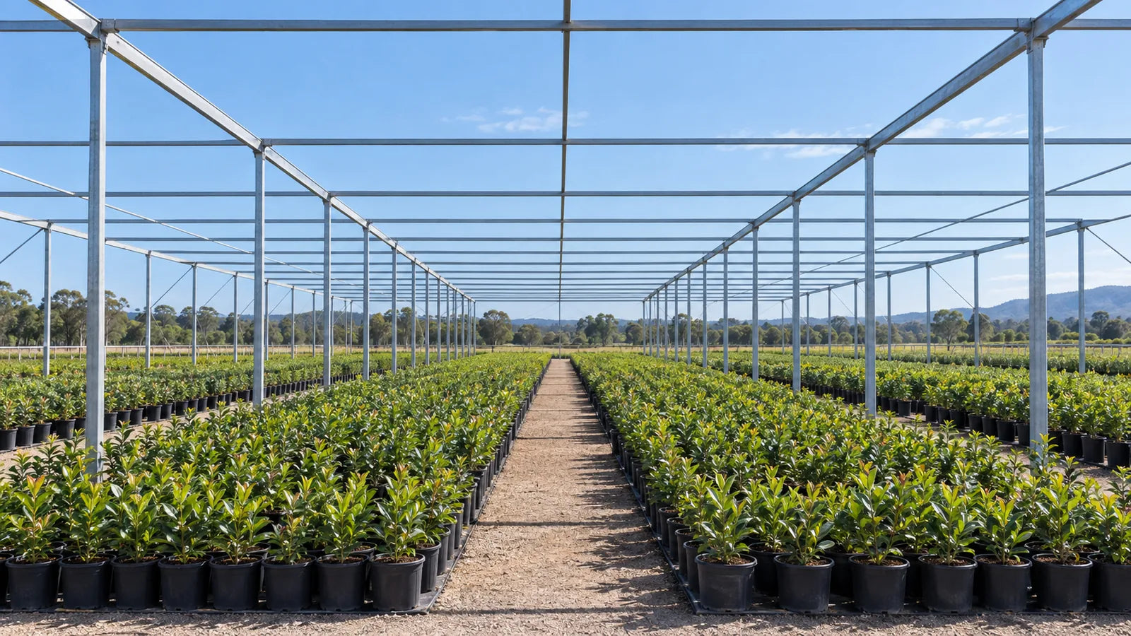 SHADE MANAGEMENT — Uncovered structure